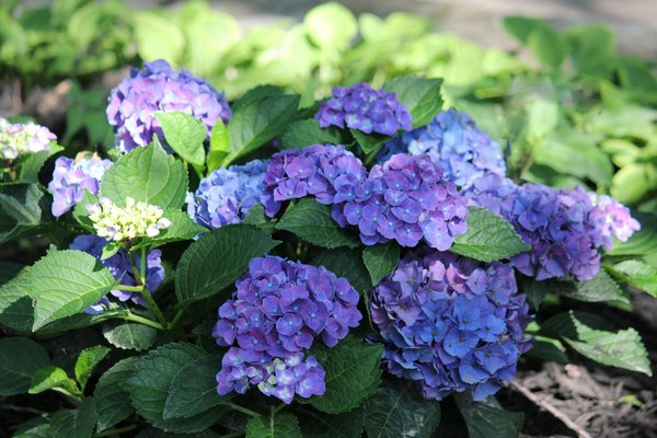 Conseils Essentiels pour Sélectionner la Couleur de Peinture Idéale par Pièce